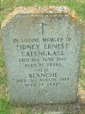 image of grave number 207606